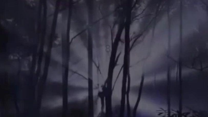 狂野的飙客无敌版