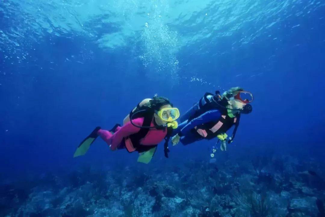 美图秀秀下载2023最新版